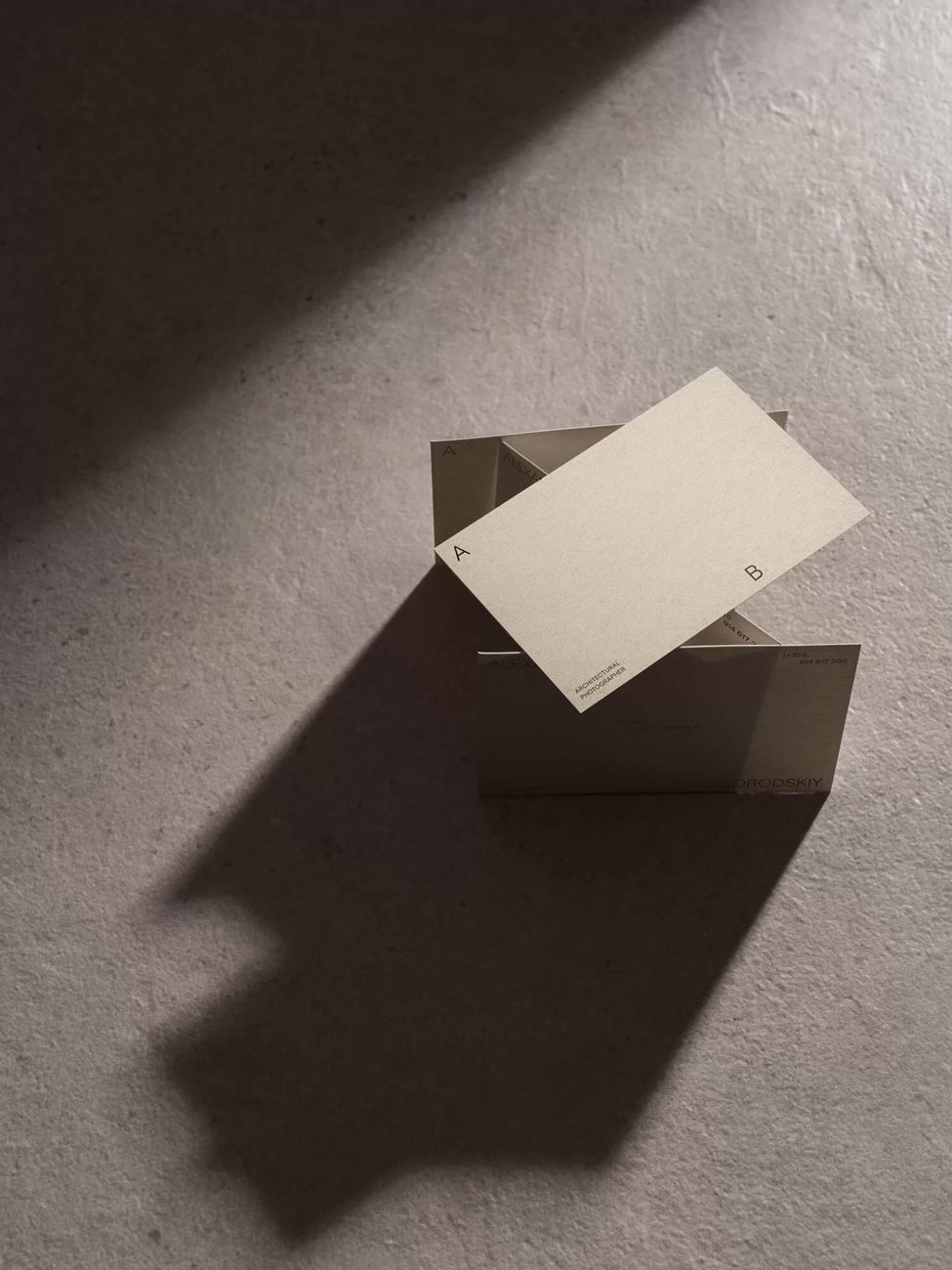 capa projeto Alexander Bogorodskiy